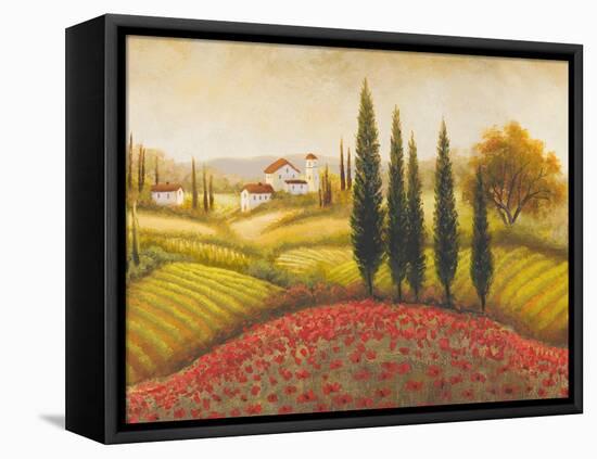 Flourishing Vineyard II-Michael Marcon-Framed Stretched Canvas