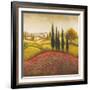 Flourishing Vineyard Square II-Michael Marcon-Framed Art Print