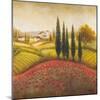 Flourishing Vineyard Square II-Michael Marcon-Mounted Art Print