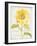 Floursack Florals II-Danhui Nai-Framed Art Print