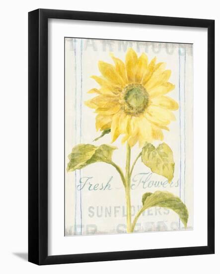 Floursack Florals II-Danhui Nai-Framed Art Print