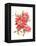 Floursack Holiday XI-Danhui Nai-Framed Stretched Canvas