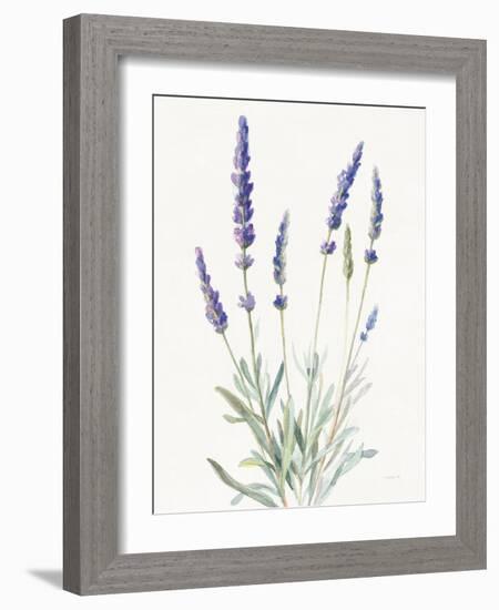 Floursack Lavender I on Linen-Danhui Nai-Framed Art Print