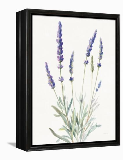 Floursack Lavender I on Linen-Danhui Nai-Framed Stretched Canvas