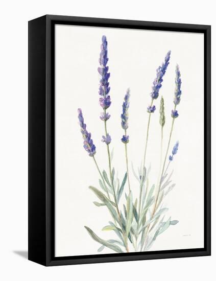 Floursack Lavender I on Linen-Danhui Nai-Framed Stretched Canvas