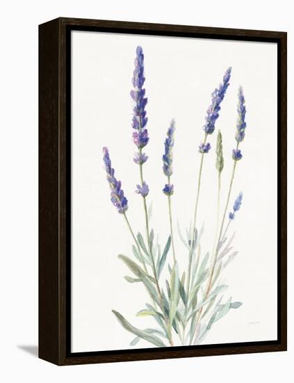 Floursack Lavender I on Linen-Danhui Nai-Framed Stretched Canvas