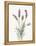 Floursack Lavender II on Linen-Danhui Nai-Framed Stretched Canvas