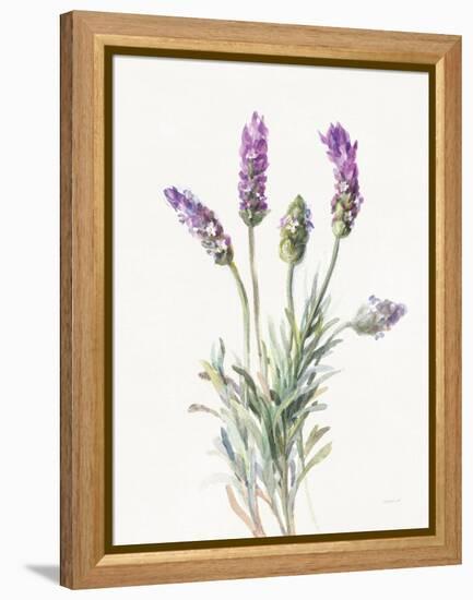 Floursack Lavender II on Linen-Danhui Nai-Framed Stretched Canvas