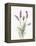 Floursack Lavender II on Linen-Danhui Nai-Framed Stretched Canvas