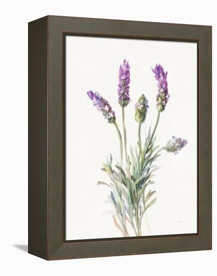 Floursack Lavender II on Linen-Danhui Nai-Framed Stretched Canvas