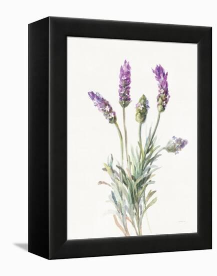 Floursack Lavender II on Linen-Danhui Nai-Framed Stretched Canvas