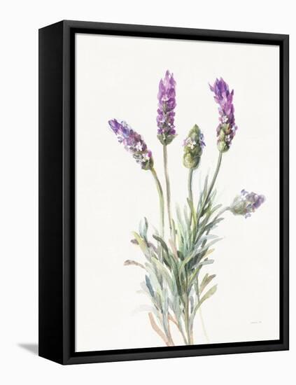 Floursack Lavender II on Linen-Danhui Nai-Framed Stretched Canvas