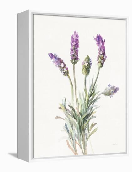 Floursack Lavender II on Linen-Danhui Nai-Framed Stretched Canvas