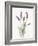 Floursack Lavender II on Linen-Danhui Nai-Framed Art Print