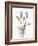 Floursack Lavender II on Linen-Danhui Nai-Framed Art Print