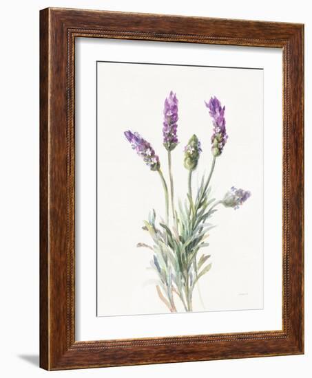 Floursack Lavender II on Linen-Danhui Nai-Framed Art Print