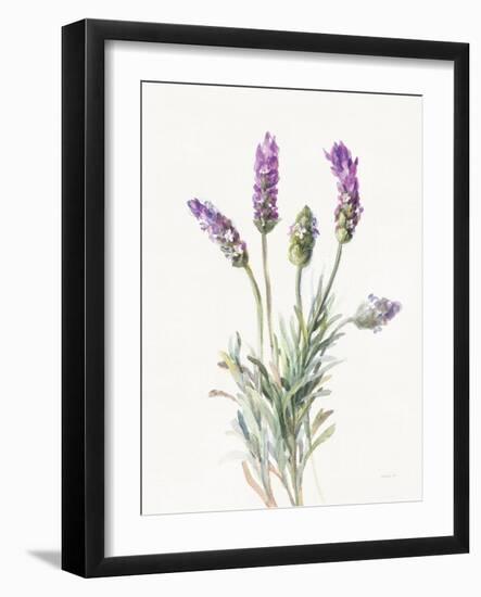 Floursack Lavender II on Linen-Danhui Nai-Framed Art Print