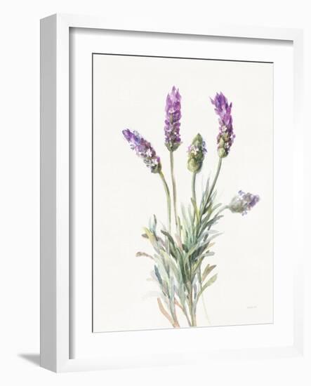 Floursack Lavender II on Linen-Danhui Nai-Framed Art Print