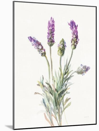 Floursack Lavender II on Linen-Danhui Nai-Mounted Art Print