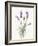 Floursack Lavender II on Linen-Danhui Nai-Framed Art Print