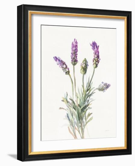 Floursack Lavender II on Linen-Danhui Nai-Framed Art Print