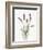 Floursack Lavender II on Linen-Danhui Nai-Framed Premium Giclee Print