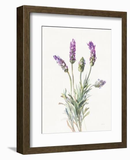 Floursack Lavender II on Linen-Danhui Nai-Framed Premium Giclee Print