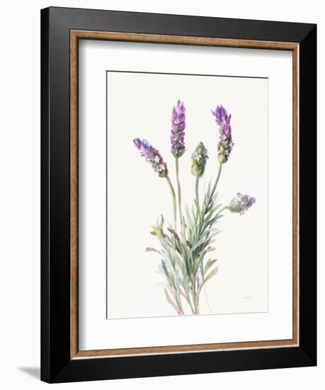 Floursack Lavender II on Linen-Danhui Nai-Framed Premium Giclee Print