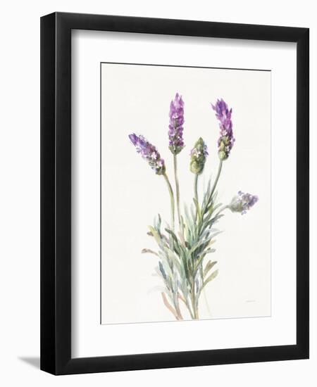 Floursack Lavender II on Linen-Danhui Nai-Framed Premium Giclee Print