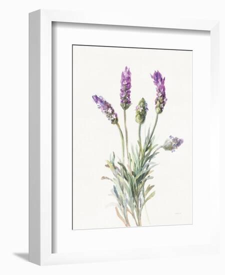 Floursack Lavender II on Linen-Danhui Nai-Framed Premium Giclee Print