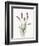 Floursack Lavender II on Linen-Danhui Nai-Framed Premium Giclee Print