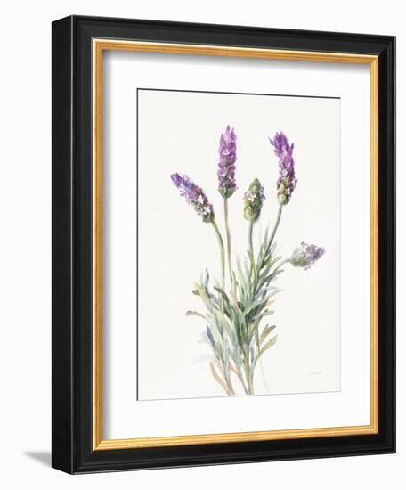 Floursack Lavender II on Linen-Danhui Nai-Framed Premium Giclee Print