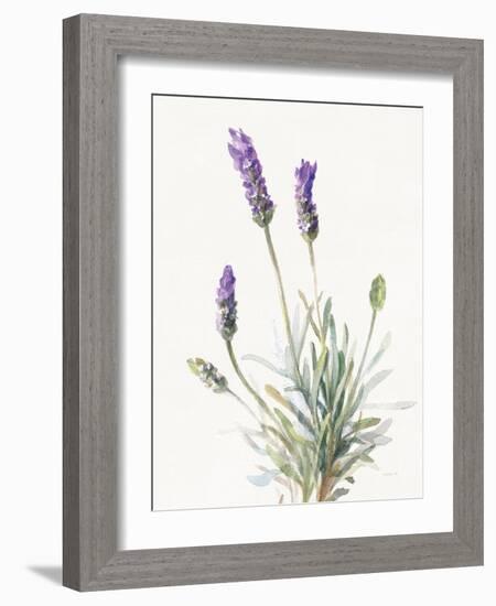 Floursack Lavender III on Linen-Danhui Nai-Framed Art Print