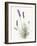 Floursack Lavender III on Linen-Danhui Nai-Framed Art Print