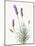 Floursack Lavender III on Linen-Danhui Nai-Mounted Art Print