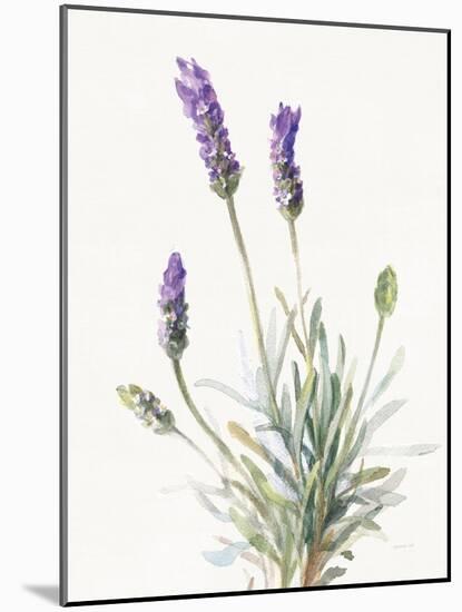 Floursack Lavender III on Linen-Danhui Nai-Mounted Art Print