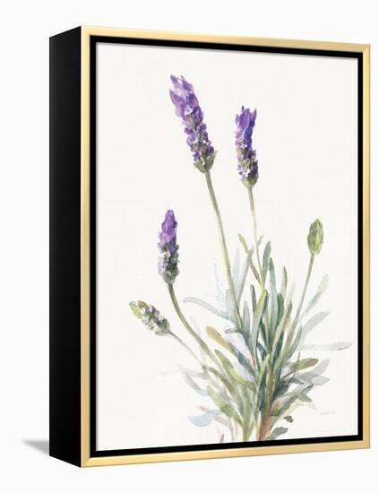 Floursack Lavender III on Linen-Danhui Nai-Framed Stretched Canvas