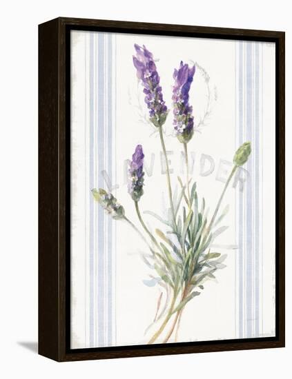 Floursack Lavender III-Danhui Nai-Framed Stretched Canvas