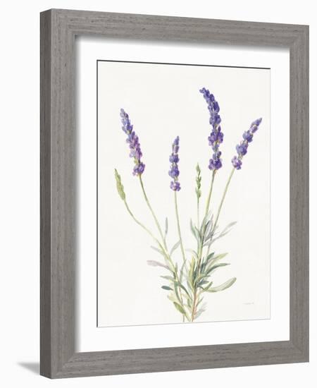 Floursack Lavender IV on Linen-Danhui Nai-Framed Art Print