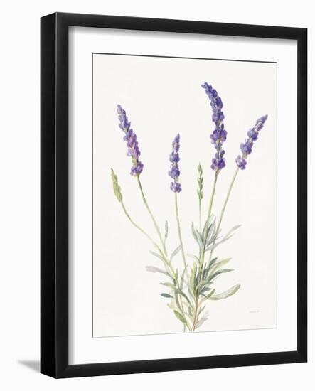 Floursack Lavender IV on Linen-Danhui Nai-Framed Art Print