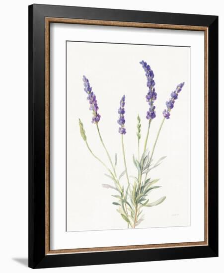 Floursack Lavender IV on Linen-Danhui Nai-Framed Art Print