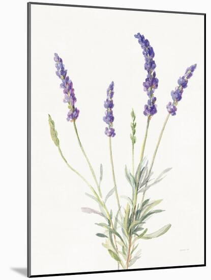 Floursack Lavender IV on Linen-Danhui Nai-Mounted Art Print