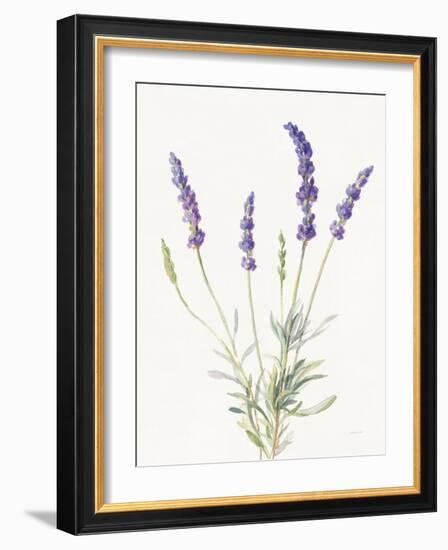 Floursack Lavender IV on Linen-Danhui Nai-Framed Art Print