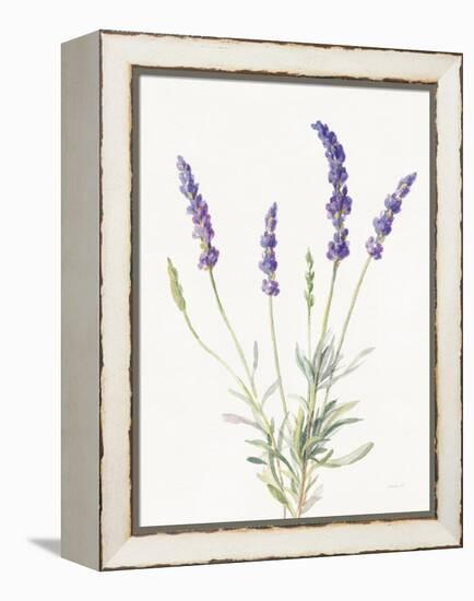 Floursack Lavender IV on Linen-Danhui Nai-Framed Stretched Canvas