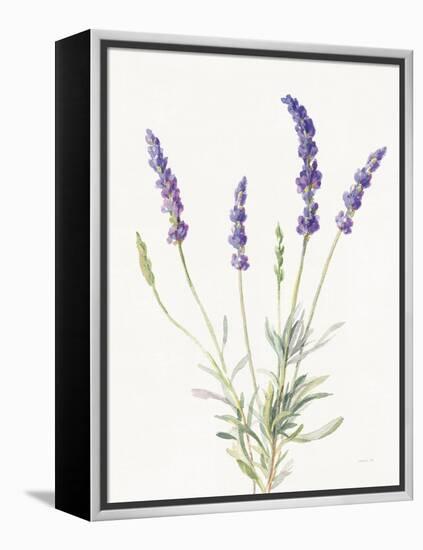 Floursack Lavender IV on Linen-Danhui Nai-Framed Stretched Canvas