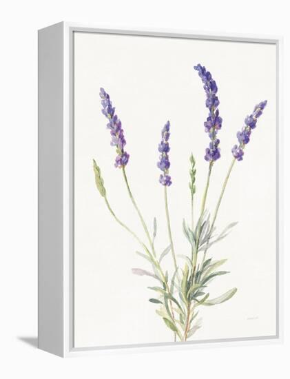 Floursack Lavender IV on Linen-Danhui Nai-Framed Stretched Canvas