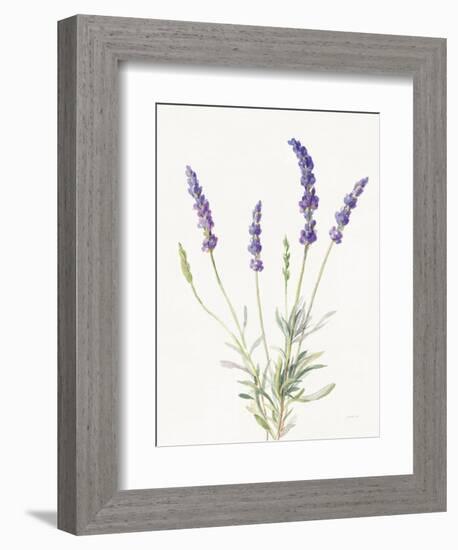 Floursack Lavender IV on Linen-Danhui Nai-Framed Premium Giclee Print