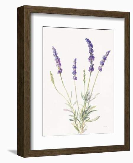 Floursack Lavender IV on Linen-Danhui Nai-Framed Premium Giclee Print