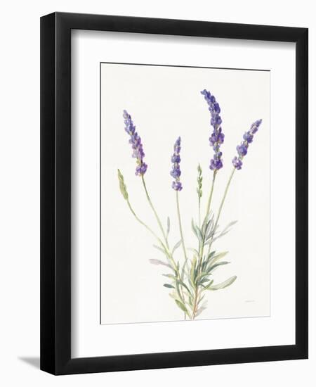 Floursack Lavender IV on Linen-Danhui Nai-Framed Premium Giclee Print