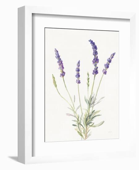 Floursack Lavender IV on Linen-Danhui Nai-Framed Premium Giclee Print